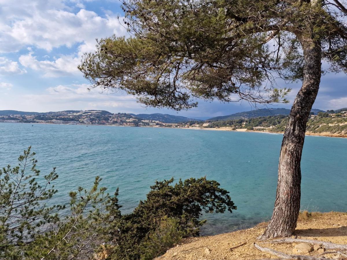 Appartamento Sanaritz Sanary-sur-Mer Esterno foto